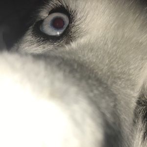 Meet your Posher, Zach